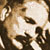 poet Allama Muhammad Iqbal
