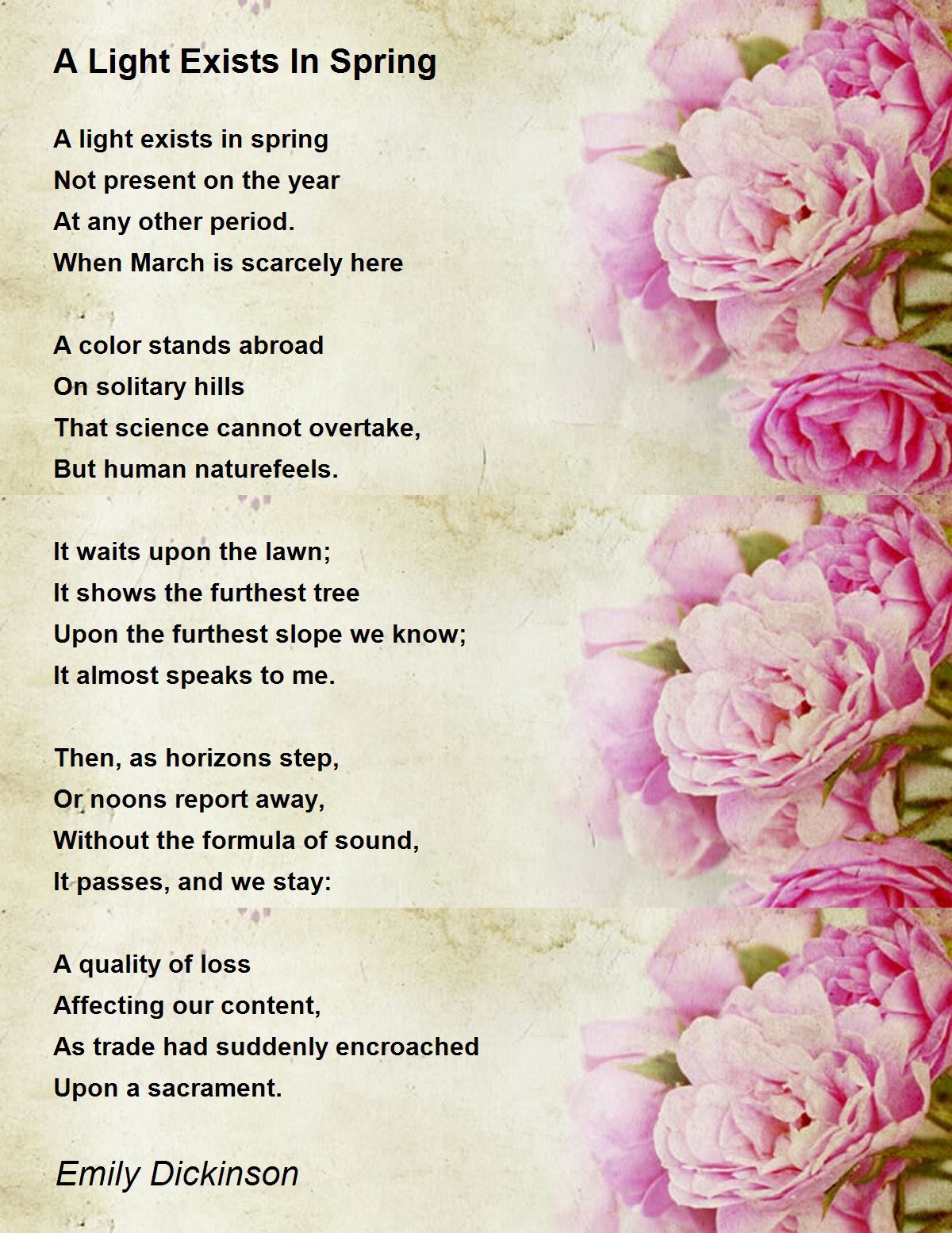 A Light Exists In Spring Poem By Emily Dickinson Poem Hunter