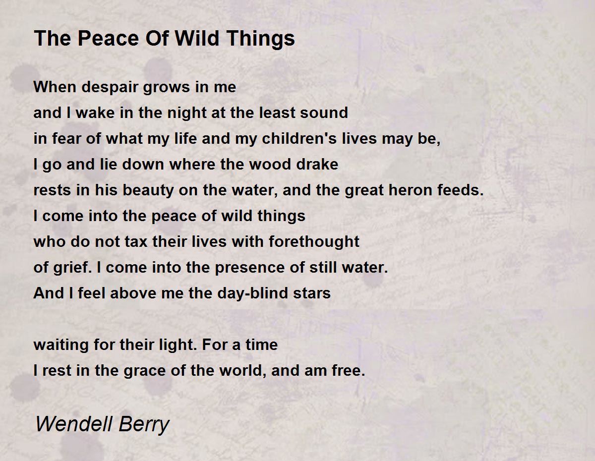 The Peace Of Wild Things Poem by Wendell Berry - Poem Hunter