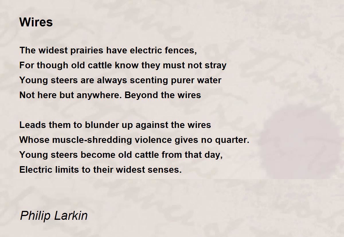Philip Larkin poem comparison